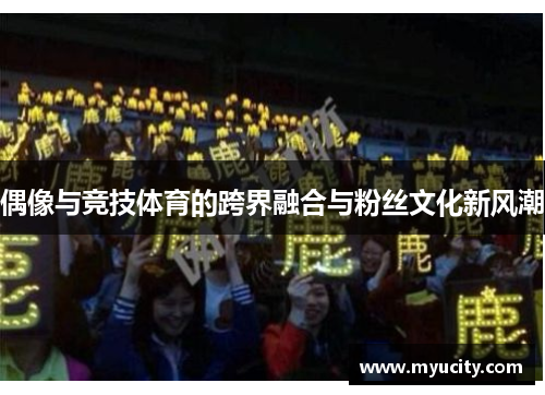 偶像与竞技体育的跨界融合与粉丝文化新风潮