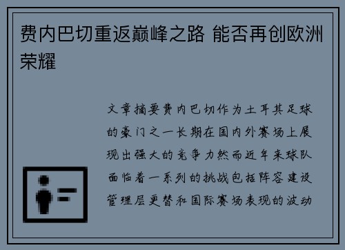 费内巴切重返巅峰之路 能否再创欧洲荣耀